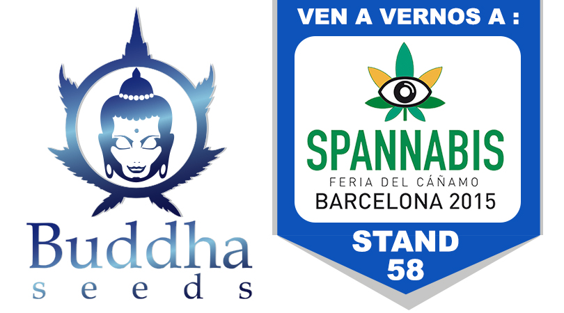 Buddha Seeds en Spannabis 2015