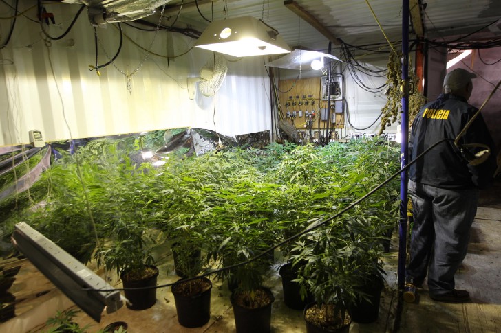 Cultivo de cannabis bajo tierra