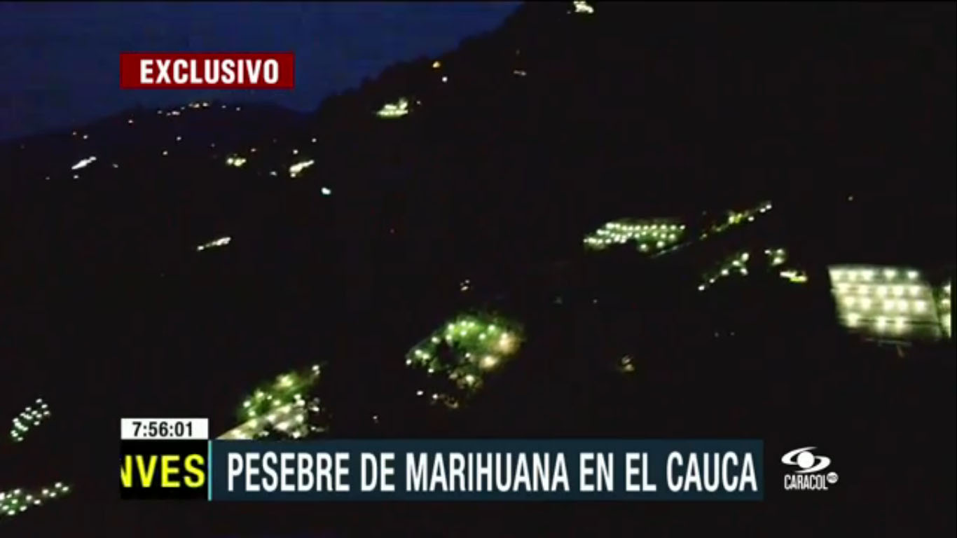 Invernaderos de marihuana en las montañas del Cauca