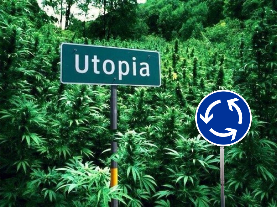 plantas cannabis rotonda