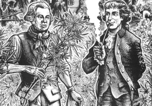 ¿Consumieron cannabis los padres fundadores?