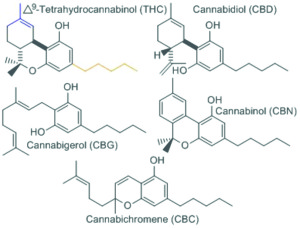 Estructura molecular del THC, CBD, CBG, CBN y CBC 