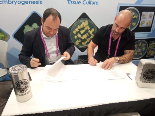 Hemp Trading CEO, Ernesto Llosá signed the agreement with two American companies at MJBizCon Las Vegas