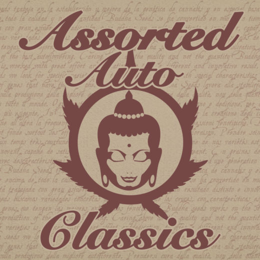 Assorted Classics Auto