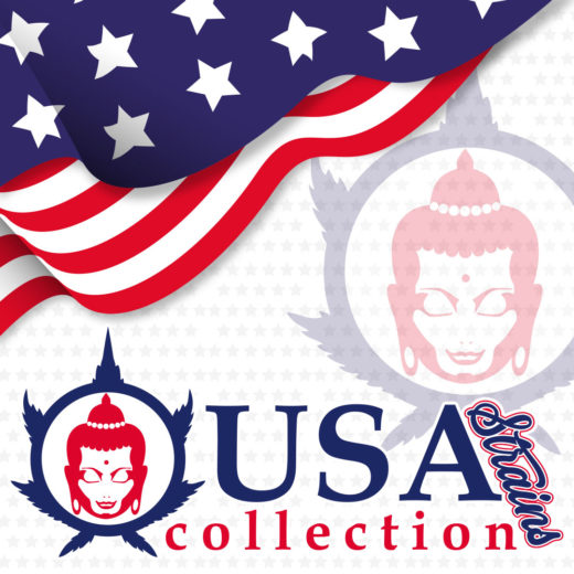 USA Collection Strains