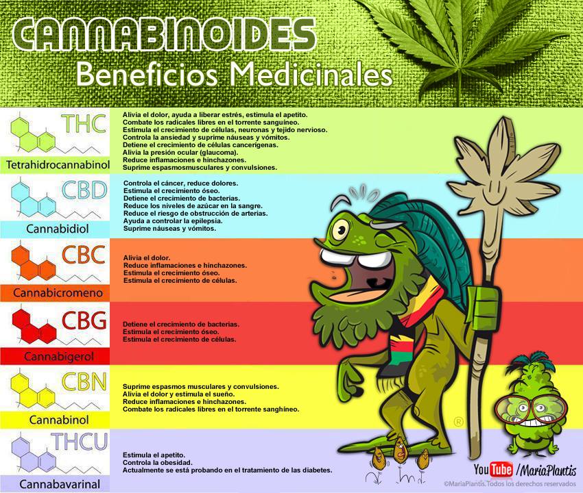 Beneficios medicinales del cannabis