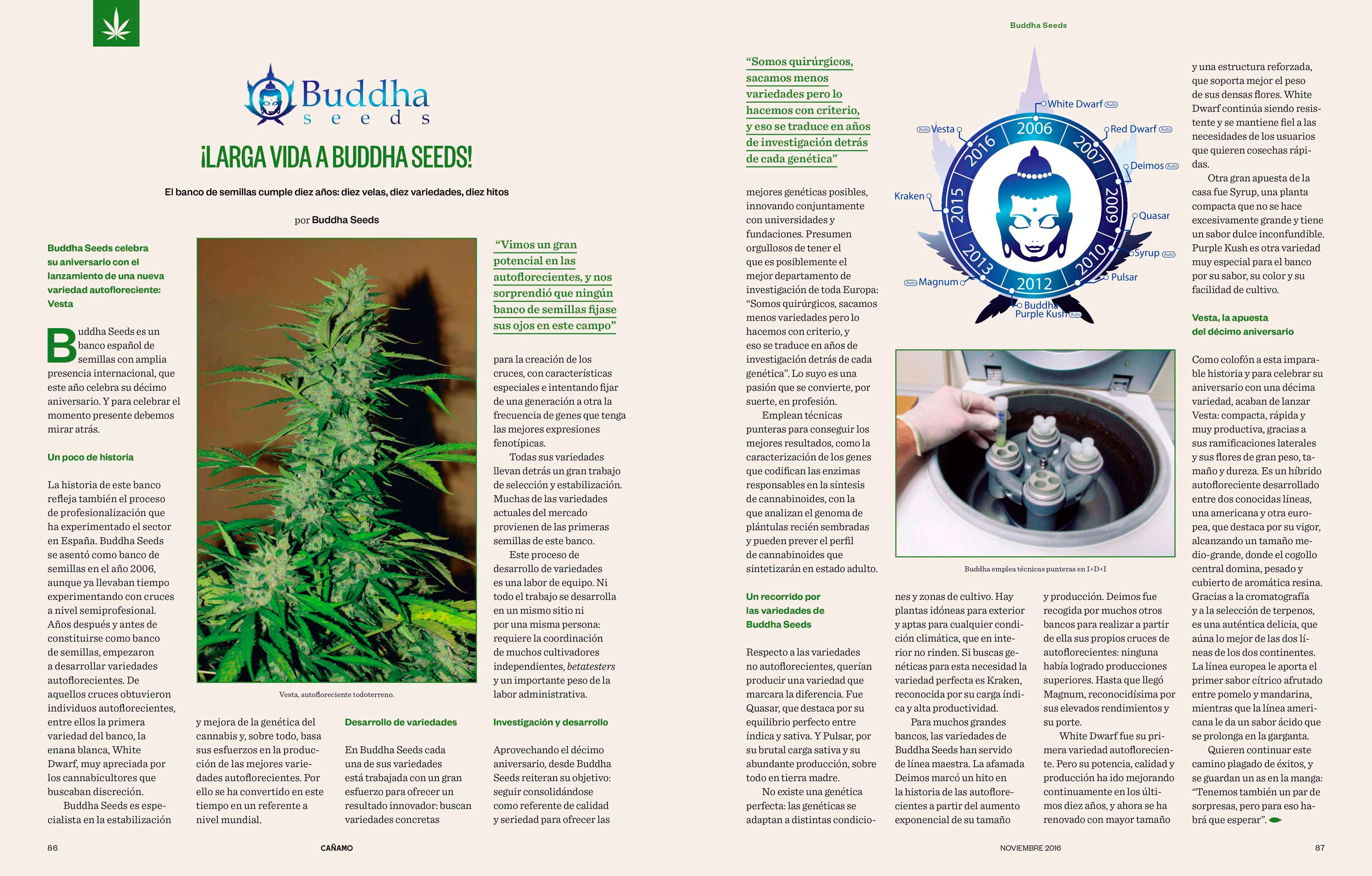 Reportaje 10 aniversario Buddha Seeds