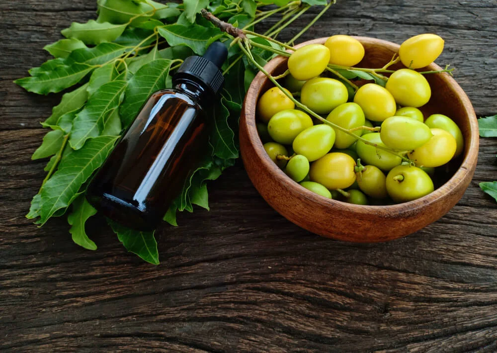 Jabón potásico y aceite de neem: ¿cuál es mejor? - RQS Blog